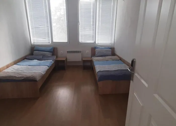 Iliana общежитие илияна